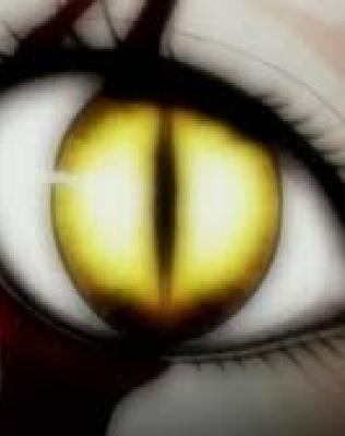 teresa-golden-eye-claymore-anime-and-manga-28706740-298-169.jpg