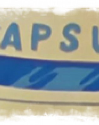 capsulecorporation.png