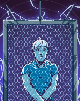 Cage electrique