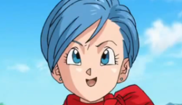 bulma_dbs_profilo.png