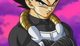 xenovegeta.png 