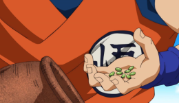 Senzu
