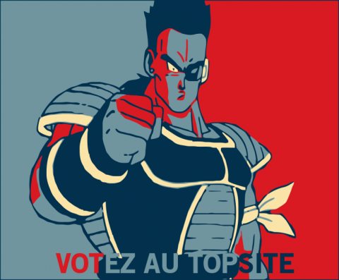 175686votez.png