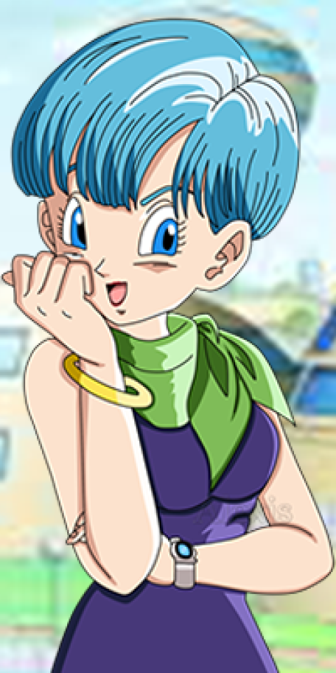 bulma.png