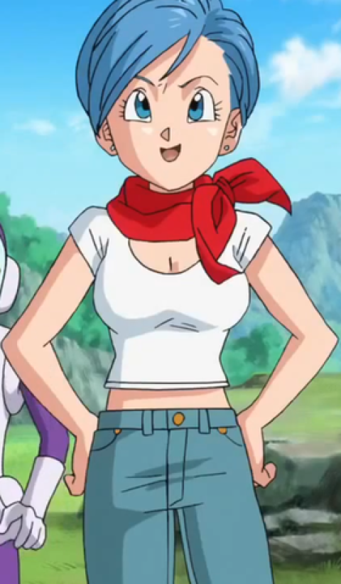 bulma_dbs_profilo.png