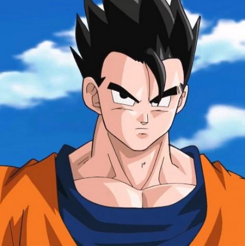 forme normale de Gohan adolescent