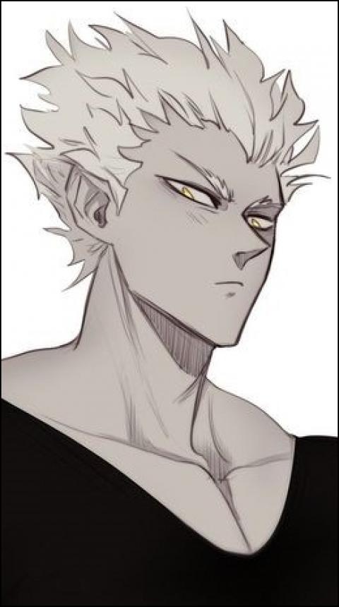 Garou, Wiki