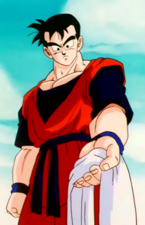 Gohan du futur